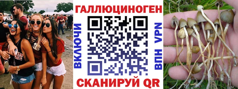 Галлюциногенные грибы мицелий  Тетюши 